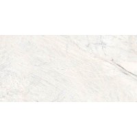 223883 DA VINCI WHITE RECT PUL 60x120