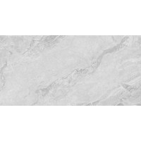230101 Керамогранит Light Grey Polished 60x120