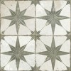 23199 FS STAR SAGE 45x45