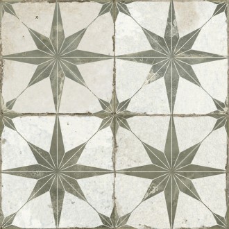 23199 FS STAR SAGE 45x45