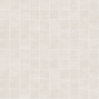 23323 D.Salines Silver Mosaic 30x30