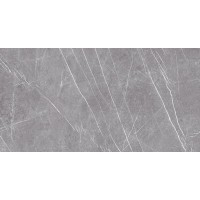23459 MUSEUM GREYSTONE-ARGENT/60X120/EP 60x120