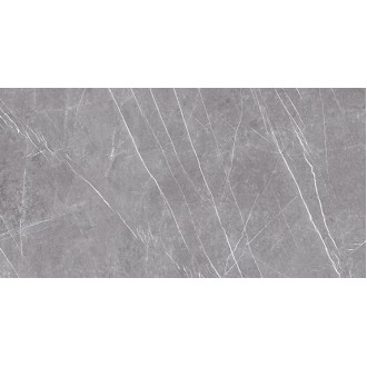 23459 MUSEUM GREYSTONE-ARGENT/60X120/EP 60x120