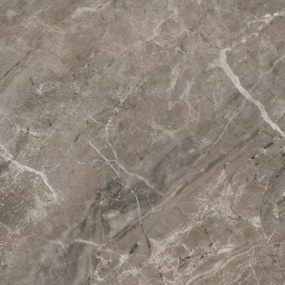 Керамогранит 240016 MARBLE GRIGIO ONICE RETTIFICATO LAPPATO 58,5x58,5