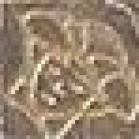 240767 TOZZETTO MEDUSA MARRONE 2,7x2,7