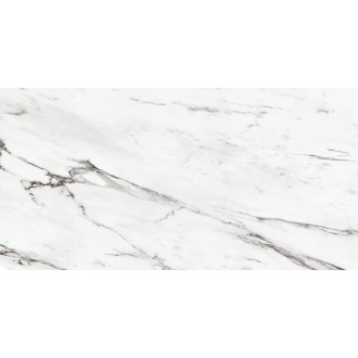 24202 ETERNAL WHITE/100X180/P