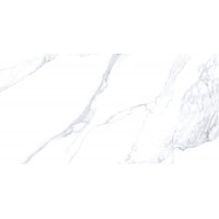24203 CALACATTA EXTRA WHITE/100X180/P