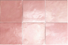 24456 ARTISAN ROSE MALLOW 13,2X13,2