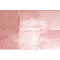24456 ARTISAN ROSE MALLOW 13,2X13,2