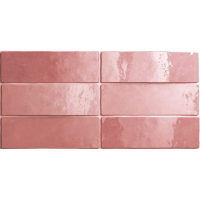 24466 ARTISAN ROSE MALLOW 6,5X20