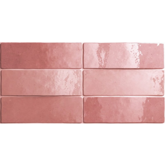 24466 ARTISAN ROSE MALLOW 6,5X20