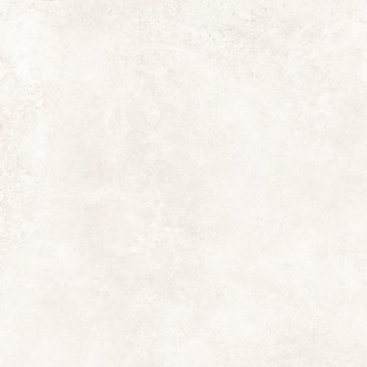 24936 GROUND BONE SF/60X60/C/R