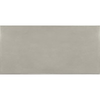 25582 Silver Mist 6.5x13.2