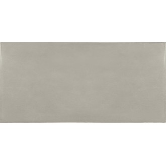 25582 Silver Mist 6.5x13.2