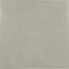 25593 Silver Mist 13.2x13.2