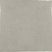 25593 Silver Mist 13.2x13.2