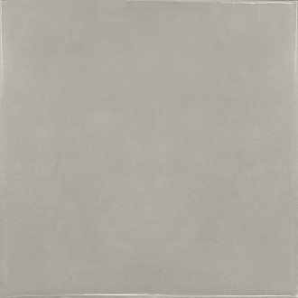 25593 Silver Mist 13.2x13.2