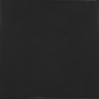 25598 Black 13.2x13.2