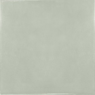 25622 Mint 13.2x13.2