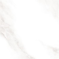 2573 Shine grey Polished 60x60