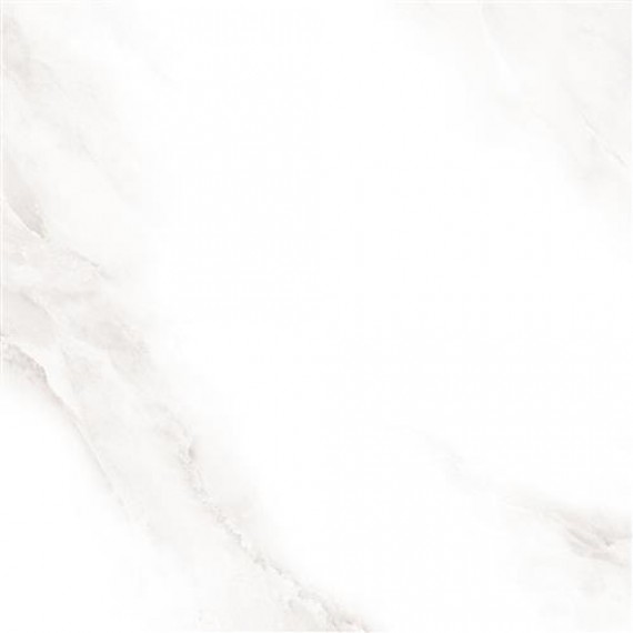 Керамогранит 2573 Shine grey Polished 60x60