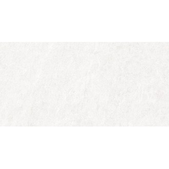 25818 Nature White SF/60X120/C/R 60x120