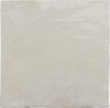 25855 La Riviera Vert 13.2x13.2