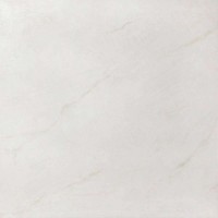 2604 Silk Polished 90x90