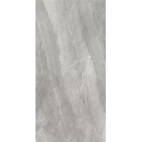 2613 Earth Dark Grey polish 60x120