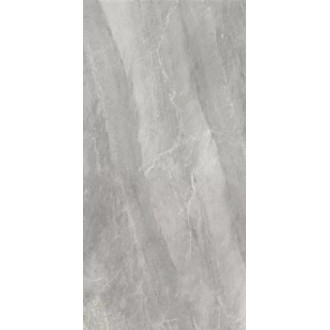 2613 Earth Dark Grey polish 60x120
