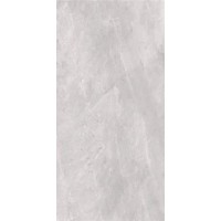 2614 Earth Light grey polish 60x120
