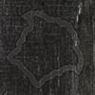 263160 Tozzetto Medusa Oro Carbon 5x5