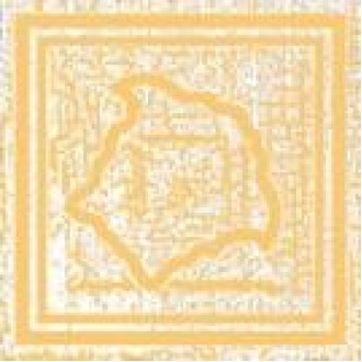 263173 Tozzetto Medusa Oro Ice 6,7x6,7