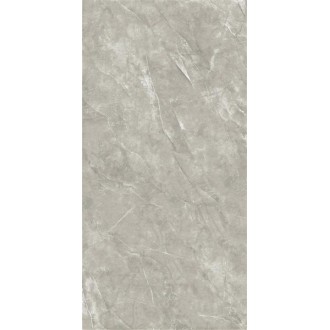 2666 Nismo Grey polish 60x120