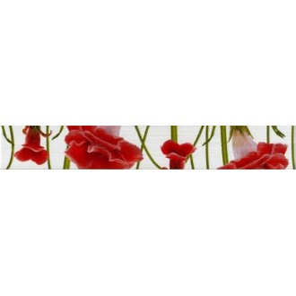 267041 Fiori Бордюр Гвоздика 40х6