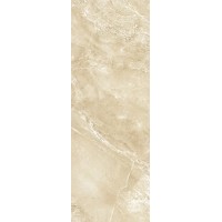 271 BCU3BG BARCELONA темная 24.5x69.5