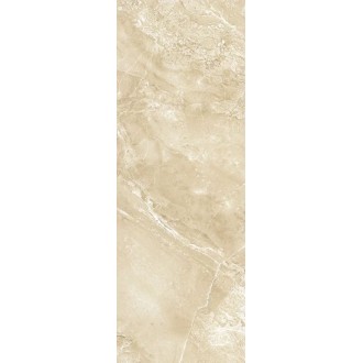 271 BCU3BG BARCELONA темная 24.5x69.5