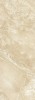 271 BCU3BG BARCELONA темная 24.5x69.5