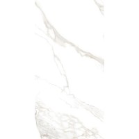 27282 TORANO GOLD NT/60X120/R