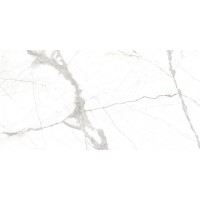 27331 GLACIER WHITE NT/60X120/R