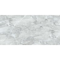 2740 Davinci Light Gray 60x120