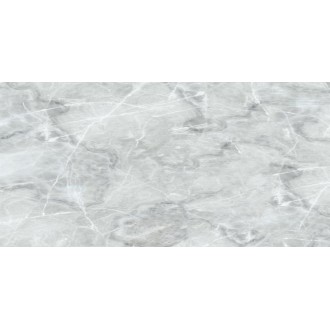 2740 Davinci Light Gray 60x120