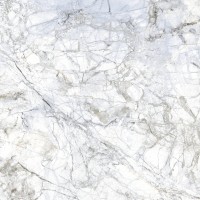 27510 SUPREME WHITE/100X100/P