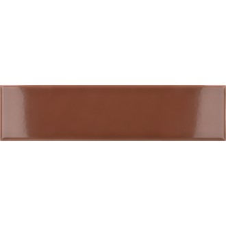 28450 Costa Nova Terra Glossy 5x20