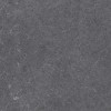 28486 Pav. Alpine anth as 60*60