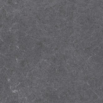 28486 Pav. Alpine anth as 60*60