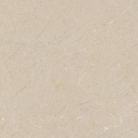 28487 Pav. Alpine beige as 60*60