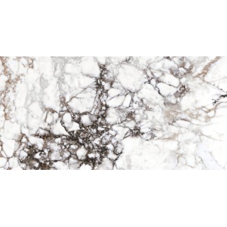 28568 BRECCIA WHITE NT/60X120/R