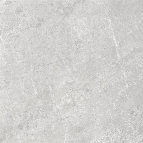 Керамогранит 28947 ALPINE Grey SP 100x100