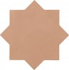 29075 Kasbah Star Terracota 16,8x16,8